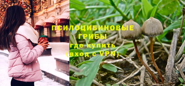 гидра Абинск