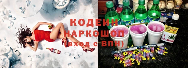 прущие грибы Абаза