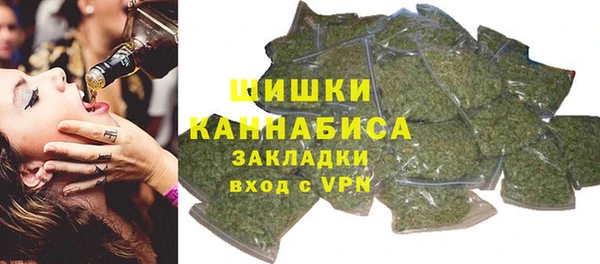 прущие грибы Абаза